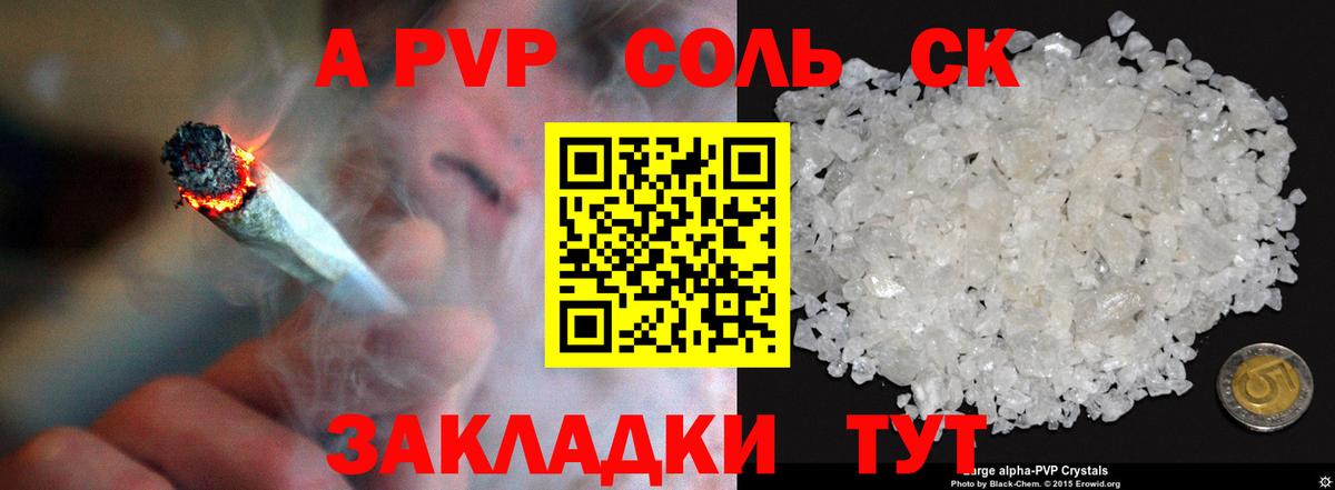 Альфа ПВП СК Майкоп