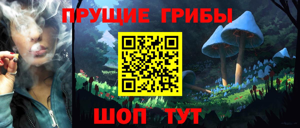 Галлюциногенные грибы Magic Shrooms Майкоп