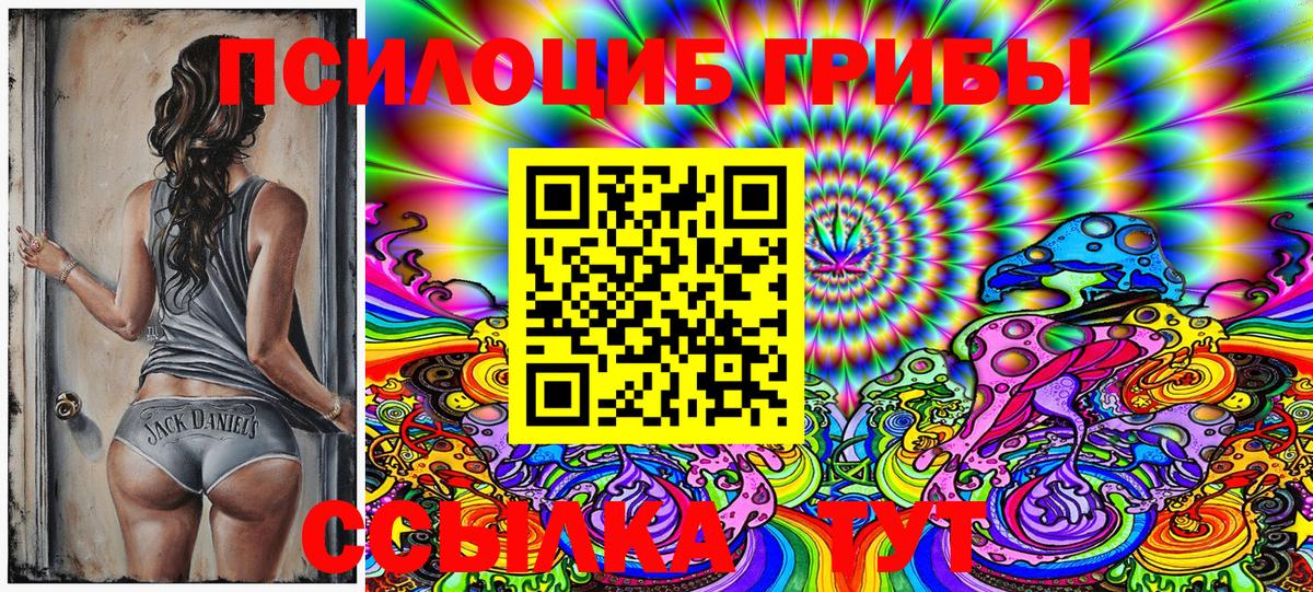 Псилоцибиновые грибы MAGIC MUSHROOMS  Вход с VPN  Майкоп 
